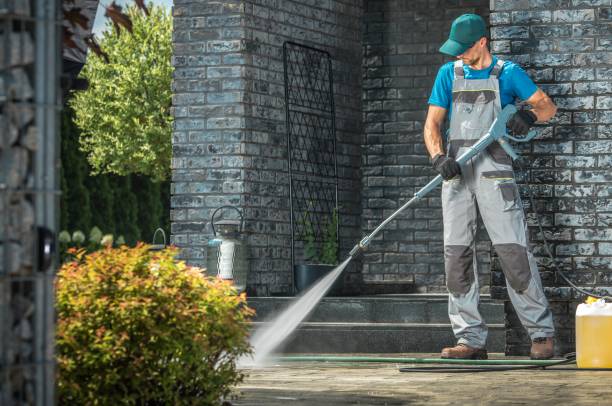 Animal Enclosure Cleaning in Bartlett, TN